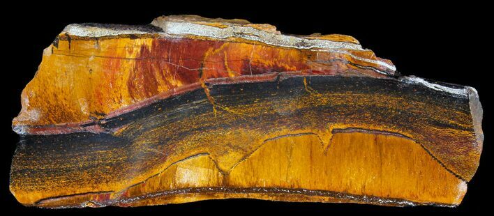 Marra Mamba Stromatolite - Mt Brockman ( Billion Years) #39199